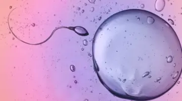 رصد حيوانات منوية تتحرك مخالفةً قوانين الفيزياء الرئيسية